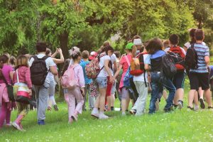 School Charters and Field Trips