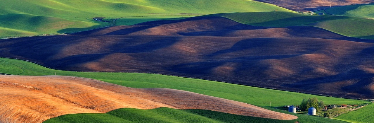 The Palouse