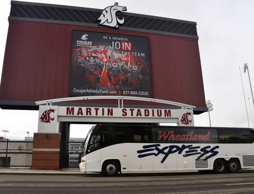 WSU Cougars